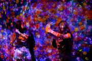 Immersive Artwork Experience
