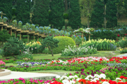 Gardens Attraction