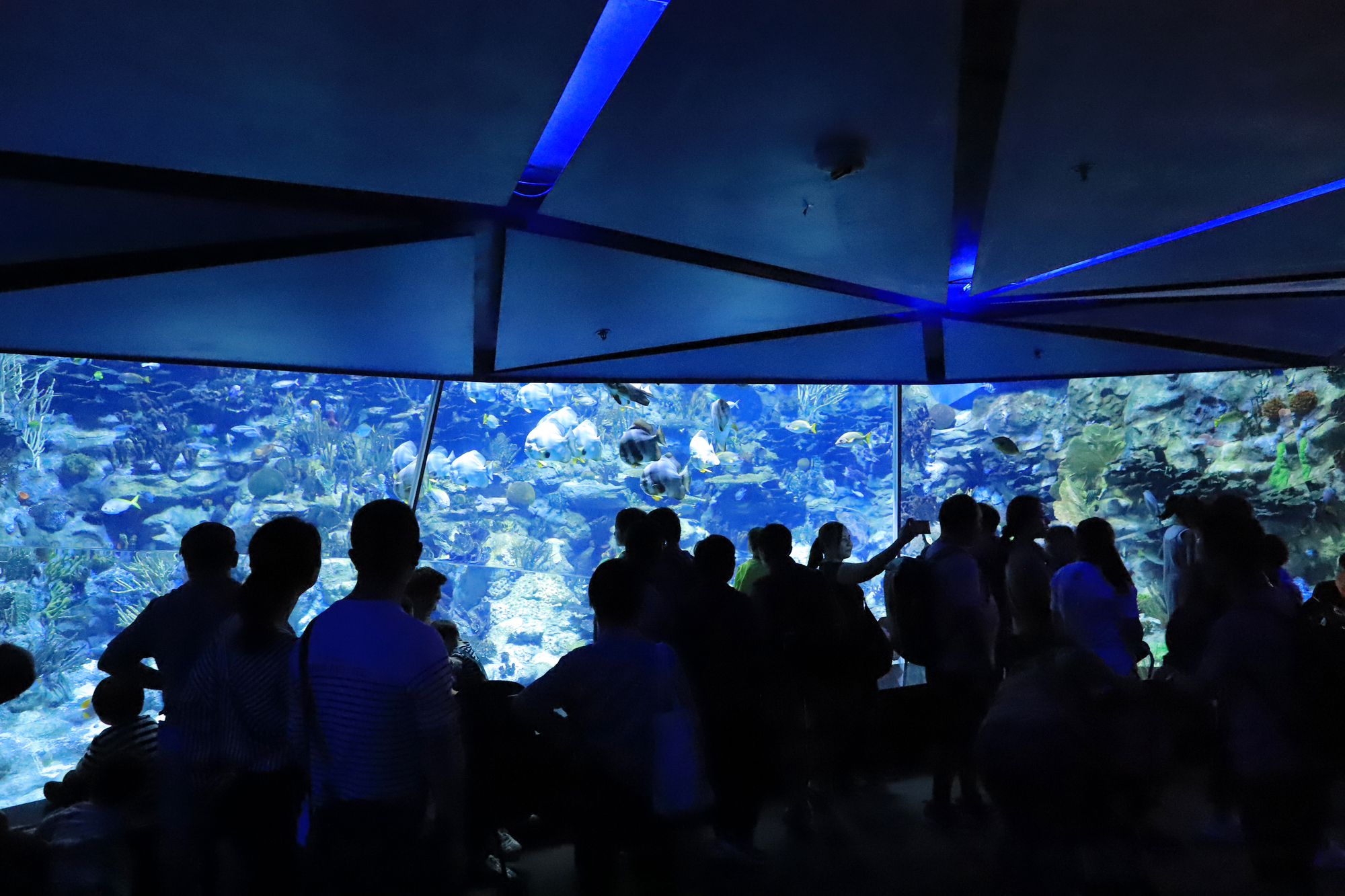 Aquarium