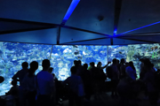 Aquarium